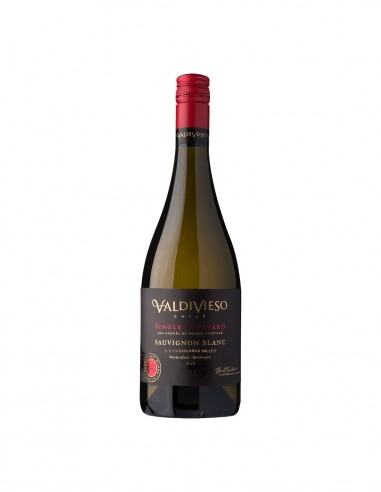 Saldos de Exportación Vino Premium Valdivieso Sauvignon Blanc 2022 Saldos Marca Valdivieso